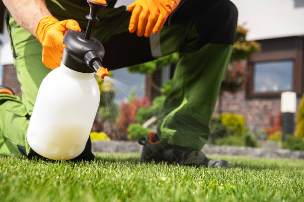 Best Rodent Control Near Me  in Empire, CA