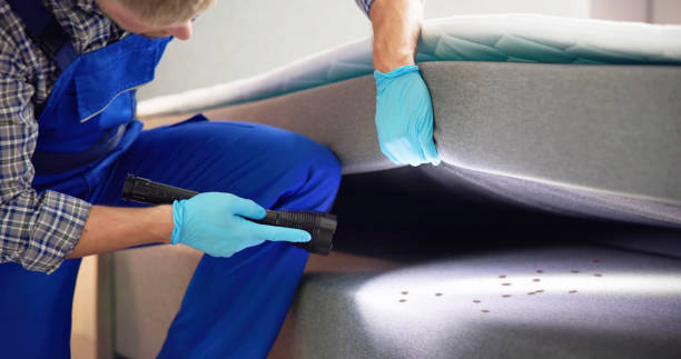 Best Residential Pest Control  in Empire, CA
