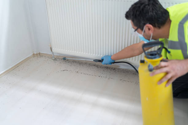 Best Pest Control Near Me  in Empire, CA