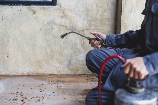 Best Mosquito Control Services  in Empire, CA